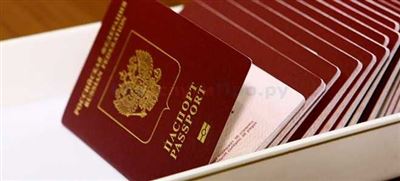Паспорт не проходит проверку на Госуслугах: что делать дальше?