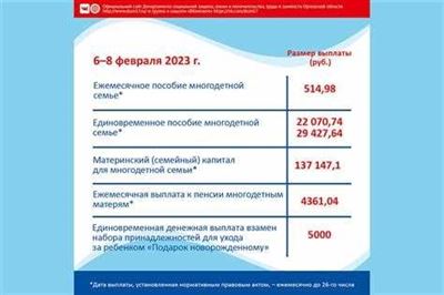 Субсидии многодетным семьям в 2025 году